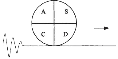 英国威廉希尔体育公司——什么是SDCA循环